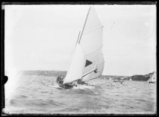 2 gaff-rigged skiffs sail on Sydney Harbour. .. Inscribed 1443.