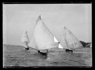 3 Various class skiffs on Sydney Harbour, inscribed 5460