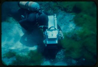 Diver underwater near seabed with camera in hand