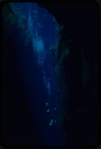 Diver likely Ron Taylor inside an underwater crevice