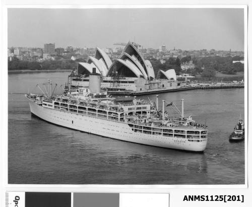 P&O liner ORSOVA about to pass the Sydney Opera House (under construction) assisted by two tugs