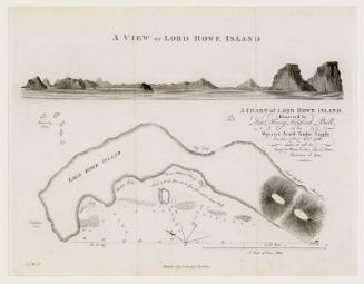 Chart of Lord Howe Island discovered by Lieut Henry Lidgbird Ball in His Majesty's Armed Tender SUPPLY on 17 February 1788; published July 1789