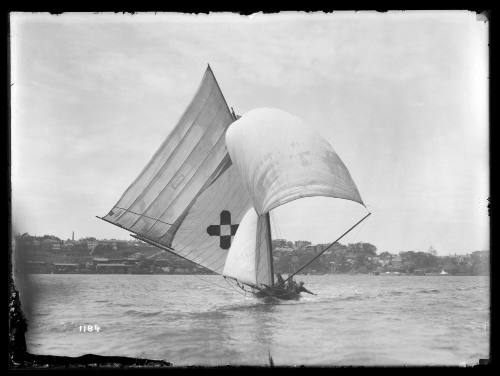 10-footer COMMONWEALTH on Sydney Harbour