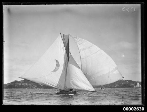 18-footer, likely QUIBREE under full sail on Sydney Harbour