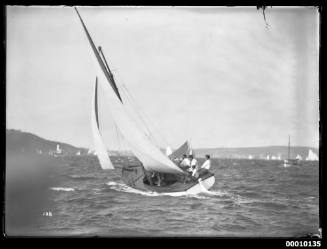 Skiff sailing on Sydney Harbour