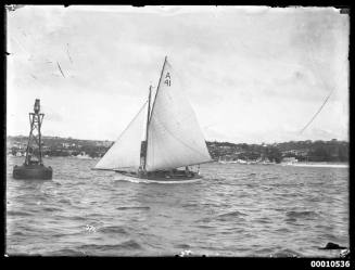 Sailing vessel passing Nielsen Park, A41 on sail, negative numbered 671