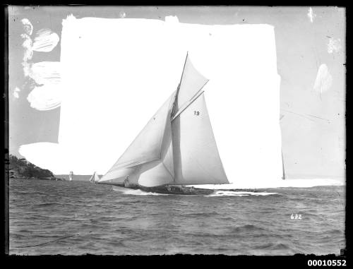 BONA sailing on Sydney Harbour