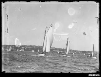 Sloops race near Rose Bay, Sydney Harbour