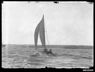 Small yacht on Sydney Harbour