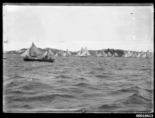 18-footer race start on Sydney Harbour