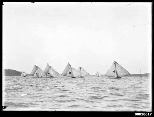 18-footers racing on Sydney Harbour