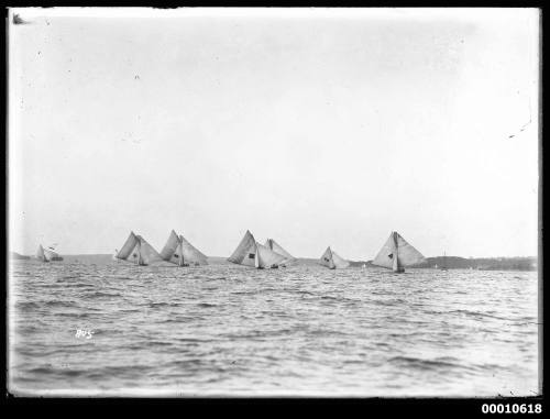 18-footers racing on Sydney Harbour