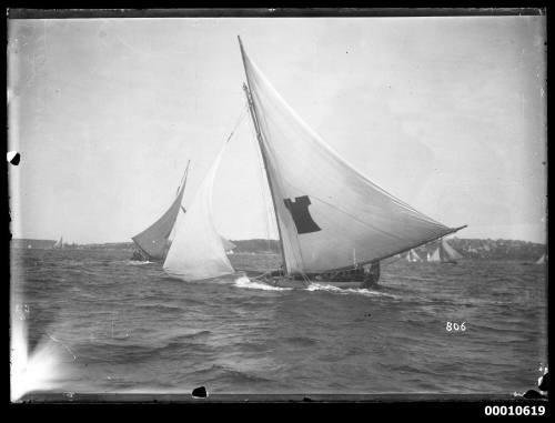 Skiff sailing on Sydney Harbour