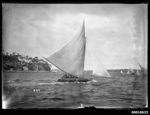 18-footer sailing on Sydney Harbour