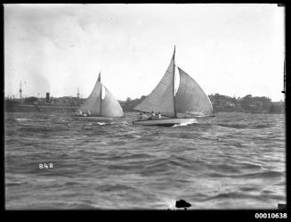 Sloops on Sydney Harbour, inscribed 842