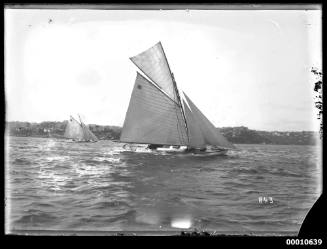 SCOTIA and AOMA racing on Sydney Harbour