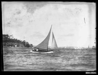 Sailing vessel on Sydney Harbour, INSC 845