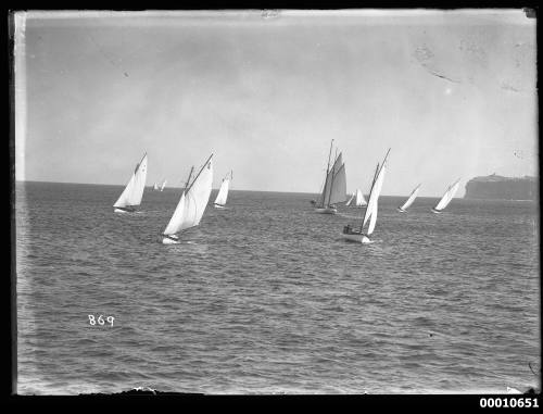 Sloops on Sydney Harbour, inscribed 869