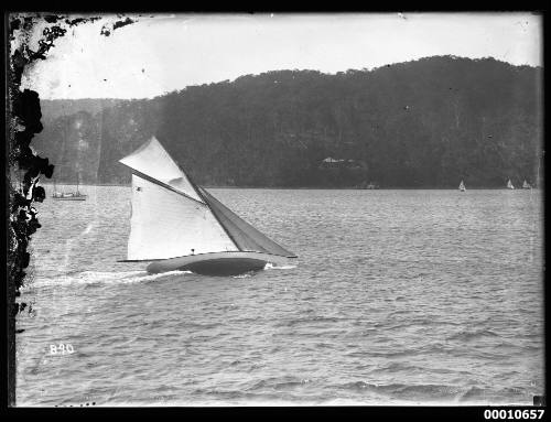 Sailing vessel on Pittwater, INSC 890