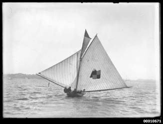 ACME sailing on Sydney Harbour