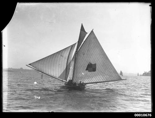 ACME sailing on Sydney Harbour