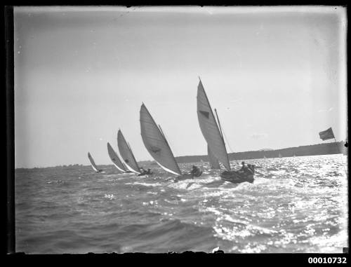 Five 16-foot skiffs in a line on Sydney Harbour