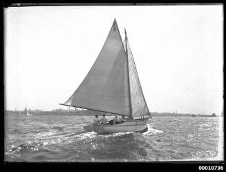 Prince class yacht RIAWENA on Sydney Harbour, INSC 984