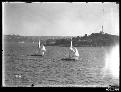 21-foot restricted class yachts NETTLE and WATTLE racing near Garden Island