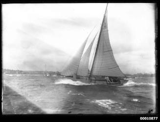 Sailing vessel on Sydney Harbour, INSC 1281