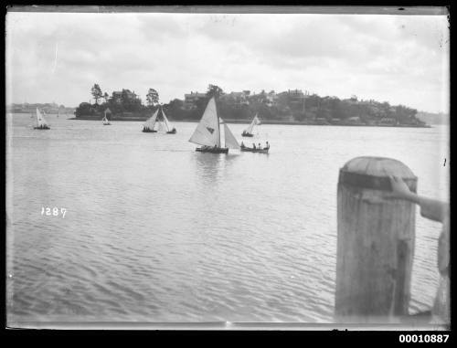 12-foot skiffs manoeuvring off Greenwich, mouth of the Lane Cove River