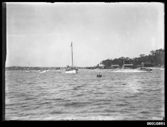 Motor launch MISS EDNA on Sydney Harbour