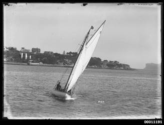 Sailing vessel SUNBEAM on Sydney Harbour, inscribed 1960