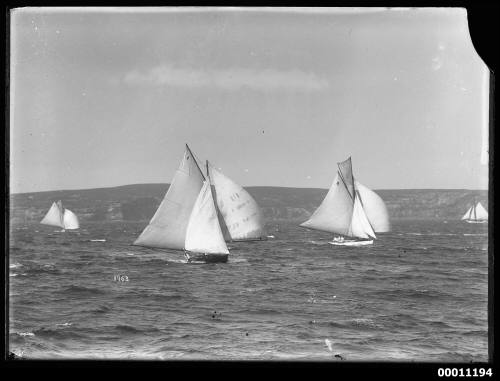 Gaff-rigged yachts racing on Sydney Harbour, INSC 1963