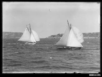 Two gaff-rigged yachts racing on Sydney Harbour, INSC 1964