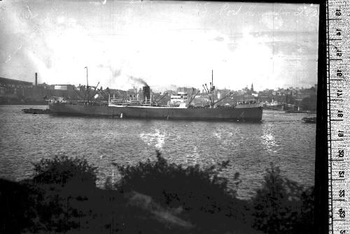 PORT DUNEDIN at Sydney Harbour