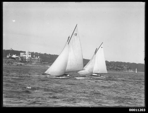 Gaff-rigged yachts on Sydney Harbour, INSC 1983