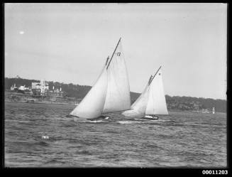 Gaff-rigged yachts on Sydney Harbour, INSC 1983