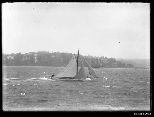 BONA at speed on Sydney Harbour