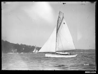 Sailing vessel on Pittwater, inscribed 2055