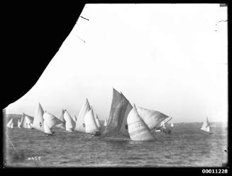 Fleet of 18-footers in a close race on Sydney Harbour