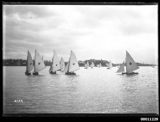 Fleet of smaller skiffs on Sydney Harbour