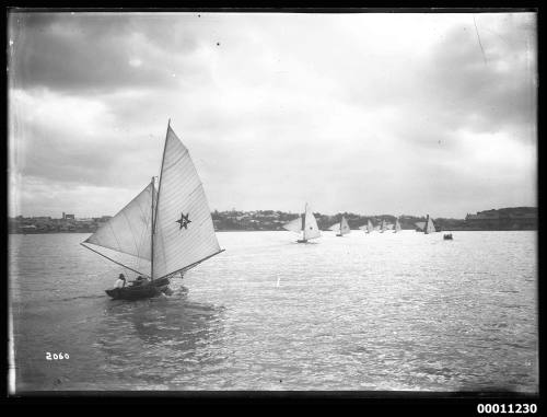 Fleet of smaller skiffs on Sydney Harbour