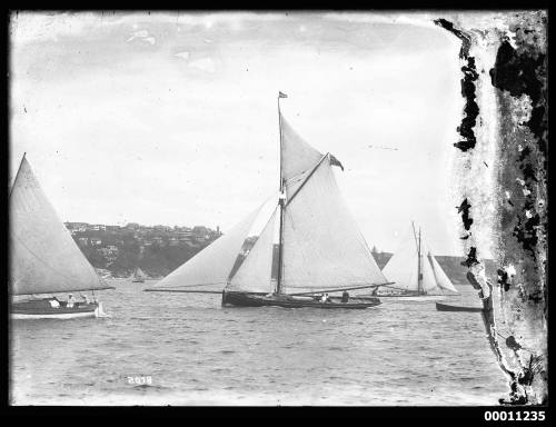 Gaff tops'l cutter on Sydney Harbour, INSC 2078