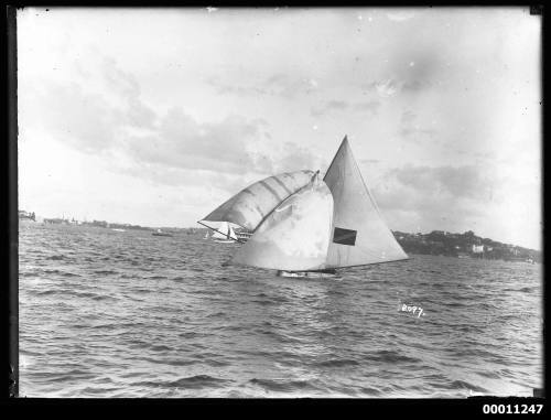 18-footer AVALON sailing on Sydney Harbour