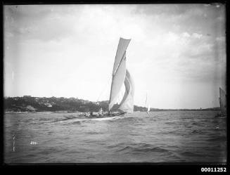 BONA sailing on Sydney Harbour