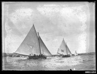 18-footers GLORIA and CUTTY SARK  racing on Sydney Harbour