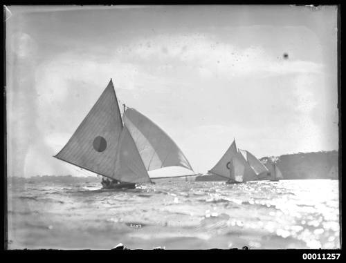 18-footers racing on Sydney Harbour