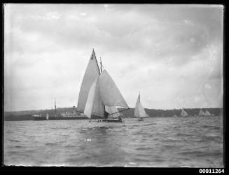 SASC yachts racing on Sydney Harbour, INSC 2116