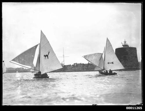 16-footers at Fort Denison, Sydney Harbour, inscribed 2117