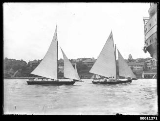 21-foot Restricted Class yachts BOOMERANG and WATTLE  on Sydney Harbour, INSC 2123